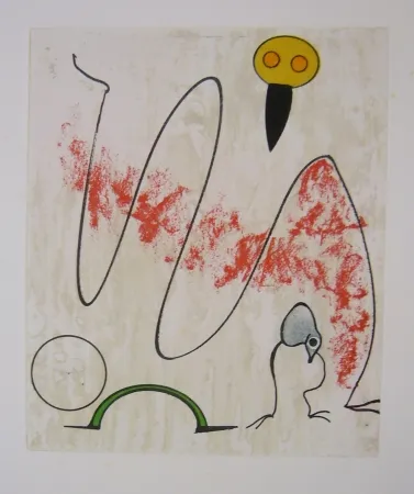 Acquaforte E Acquatinta Ernst - From oiseaux en peril