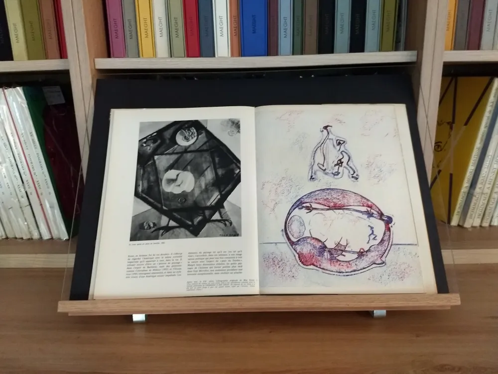 Libro Illustrato Ernst - Hommage