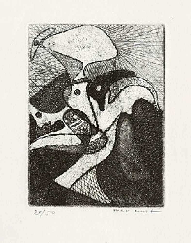 Libro Illustrato Ernst - 