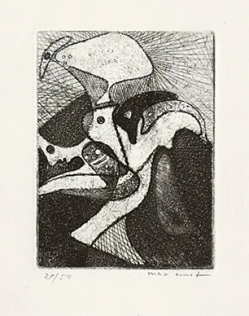 Libro Illustrato Ernst - 