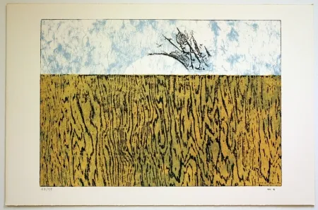 Incisione Ernst - Les Demeures d´Hypnos