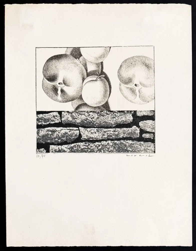 Litografia Ernst - Max Ernst (1891–1976) - Fruits défendus - Photolithography on paper - 1968