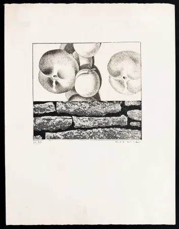 Litografia Ernst - Max Ernst (1891–1976) - Fruits défendus - Photolithography on paper - 1968