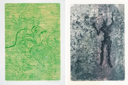 Acquaforte E Acquatinta Ernst - PAROLES PEINTES (1959) 2 GRAVURES ORIGINALES DE MAX ERNST (10 gravures originales de Max Ernst, Jacques Hérold, Wifredo Lam, Sébastian Matta et DorotheaTanning. Poèmes d’Alain Bosquet).