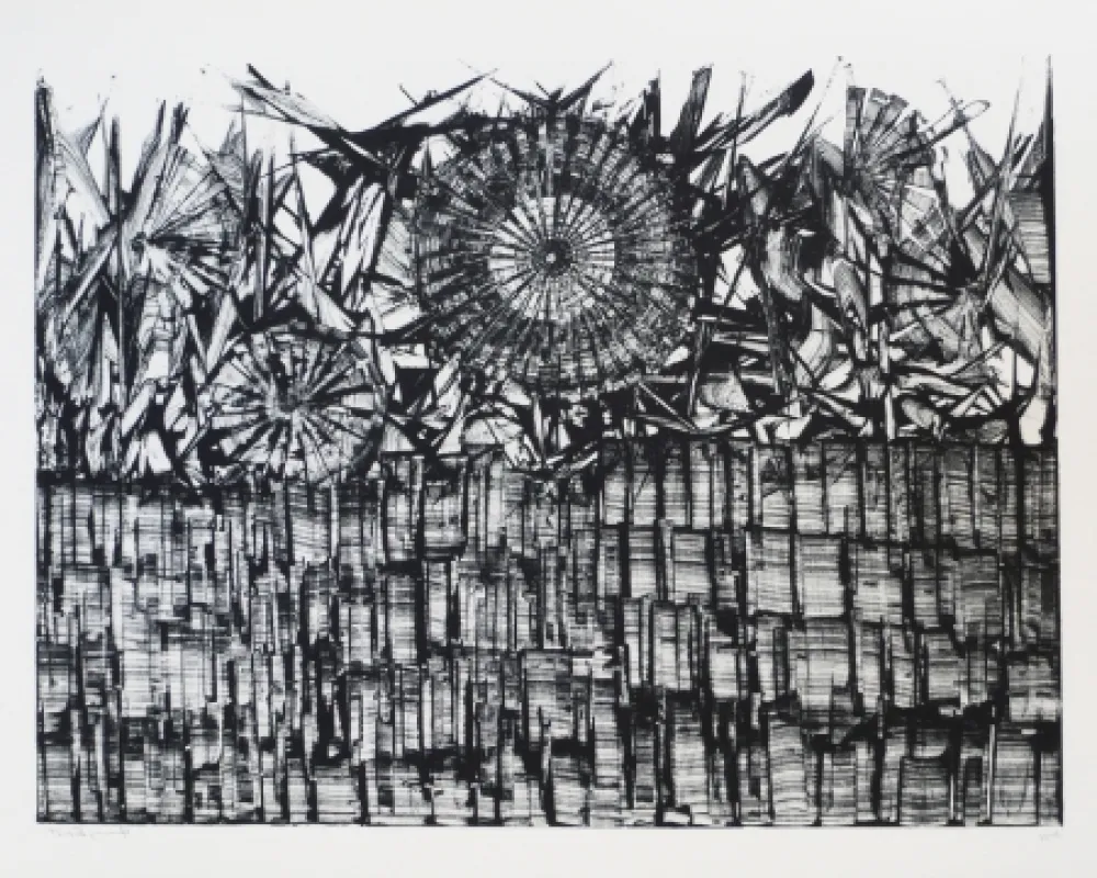 Litografia Ernst - Terra Incognita 4