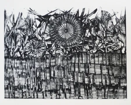 Litografia Ernst - Terra Incognita 4