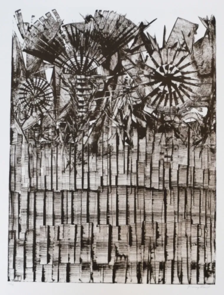 Litografia Ernst - Terra Incognita 9