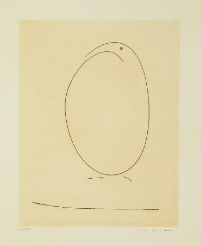 Acquaforte Ernst - Tout en un