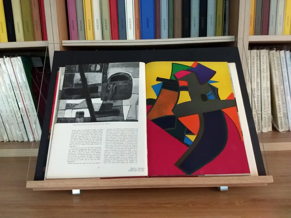 Libro Illustrato Esteve - Hommage