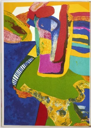 Libro Illustrato Esteve - Maurice Estève. L’oeuvre gravé