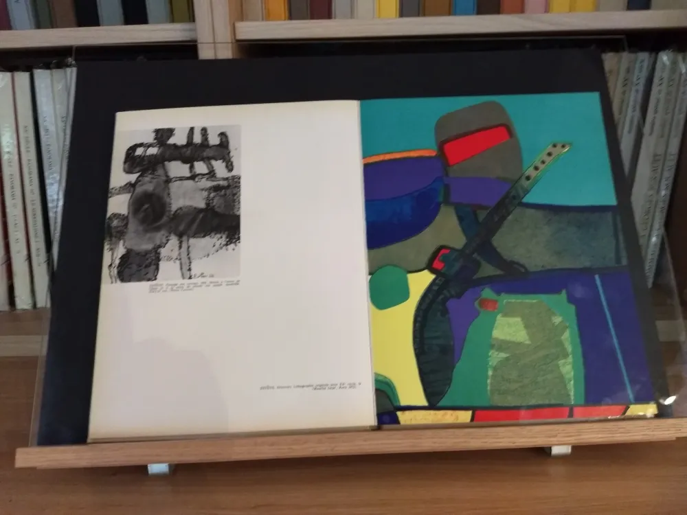 Libro Illustrato Esteve - No 39