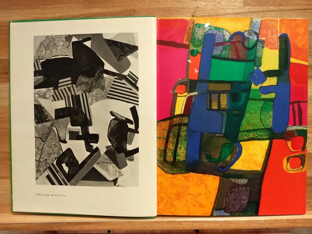 Libro Illustrato Esteve - Xxe no33