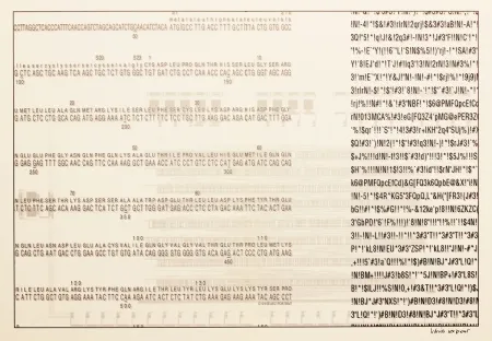 Serigrafia Export - Selbstporträt (Self Portrait)