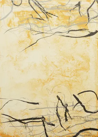 Litografia Fabré - Entre Voces