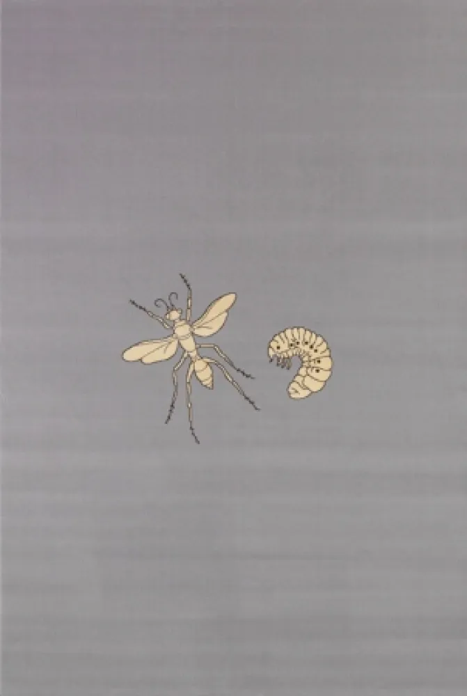 Multiplo Fabre - Fly