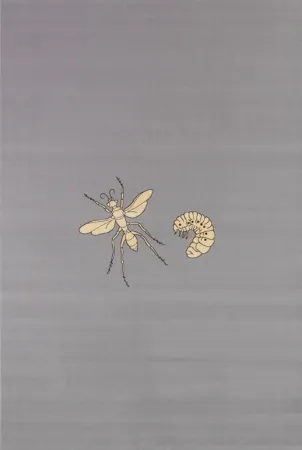 Multiplo Fabre - Fly