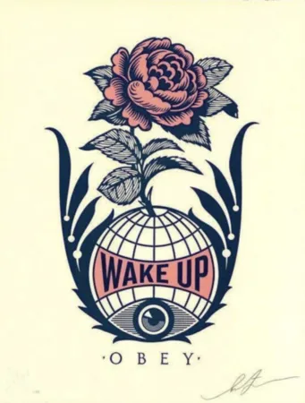 Multiplo Fairey - Wake Up Earth