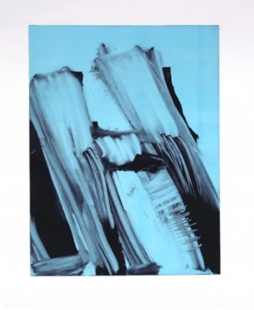 Monotipo Faldbakken - Hilux Variations 11