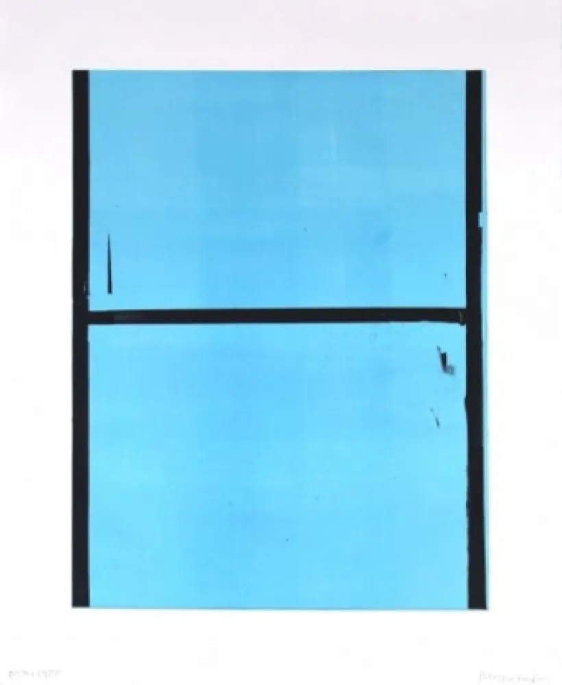 Monotipo Faldbakken - Hilux Variations 7