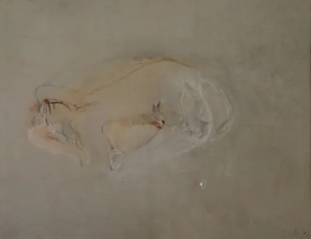 Non Tecnico Falk - (Akt)