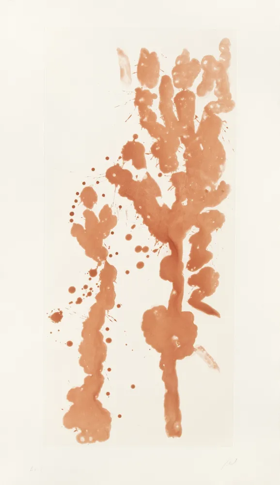 Incisione Fattal - Arbres