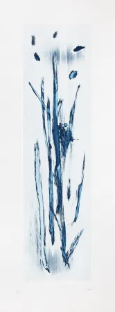 Incisione Fattal - Papyrus