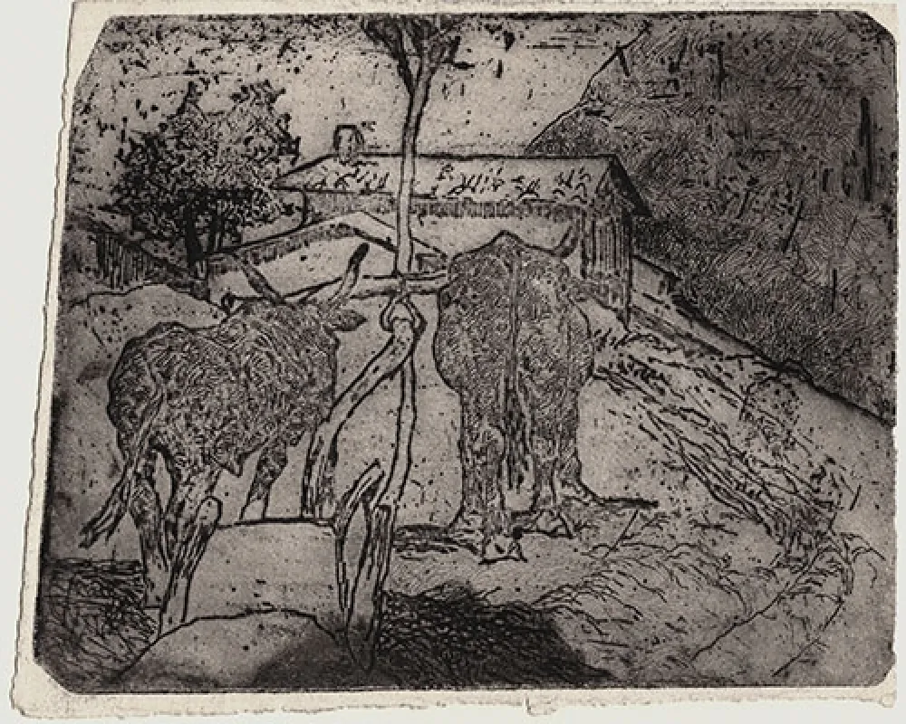 Acquaforte Fattori - BOVI AGGIOGATI