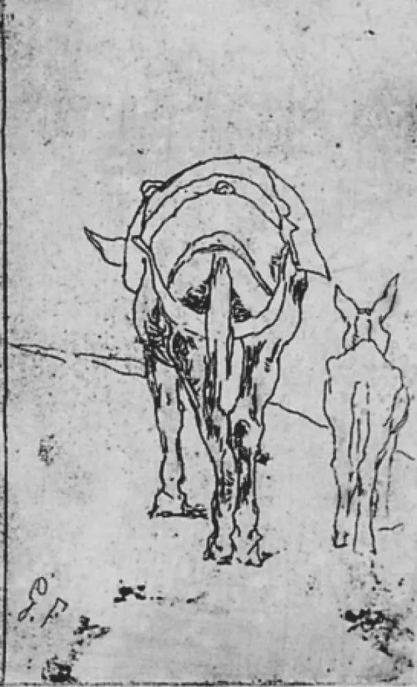 Acquaforte Fattori - Due somarelli