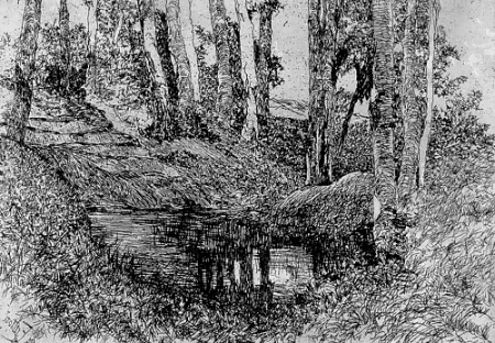 Incisione Fattori - Il fosso