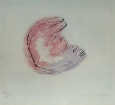 Acquaforte E Acquatinta Fautrier - Baby Mine