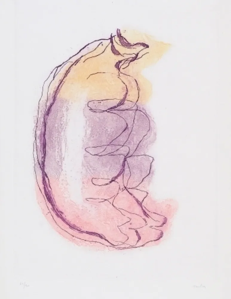 Incisione Fautrier - Grands torses de femmes