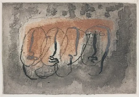 Libro Illustrato Fautrier - Orenoque