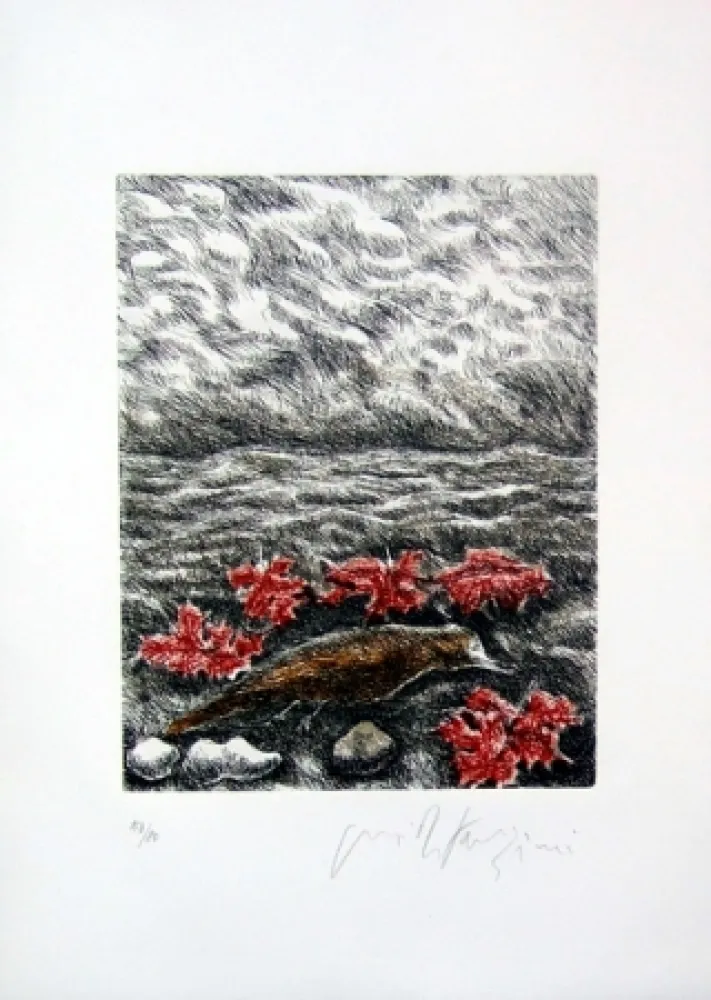 Libro Illustrato Fazzini - Gabbiani