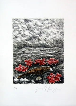 Libro Illustrato Fazzini - Gabbiani