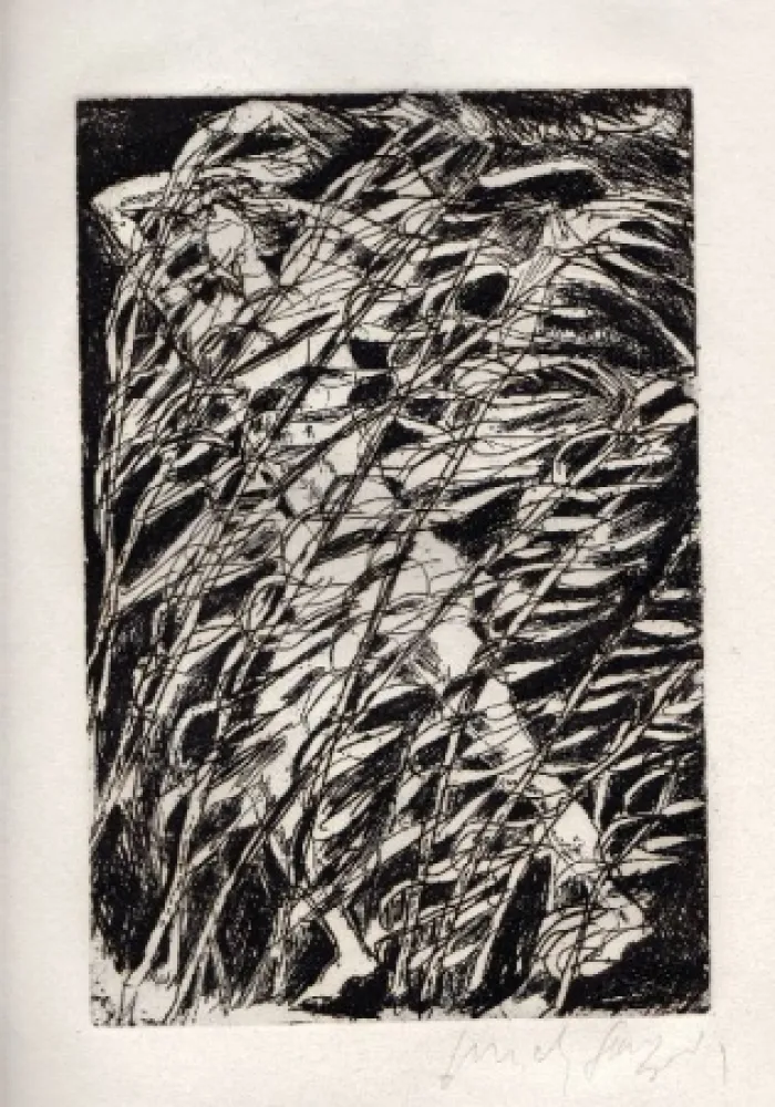 Libro Illustrato Fazzini - Inni