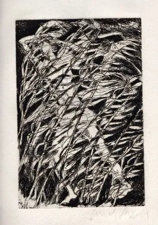 Libro Illustrato Fazzini - Inni