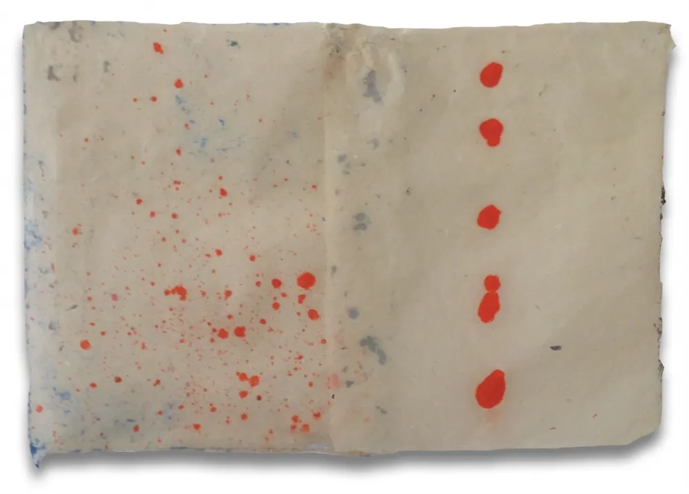 Non Tecnico Feinberg - DD3.15