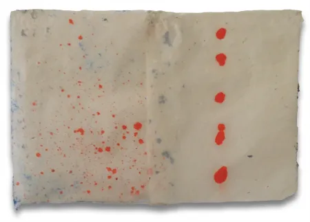 Non Tecnico Feinberg - DD3.15