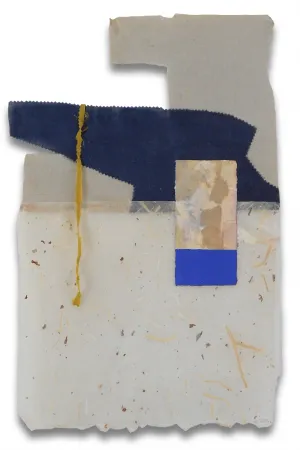 Non Tecnico Feinberg - P5.15