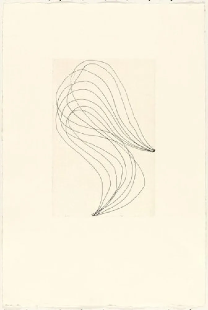 Incisione Ferrari - Mod. 1