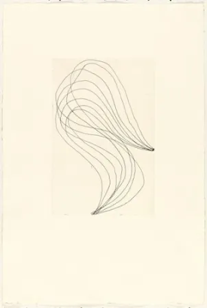 Incisione Ferrari - Mod. 1