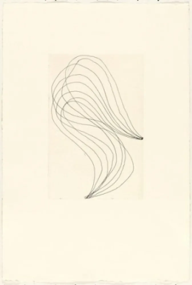 Incisione Ferrari - Mod. 1