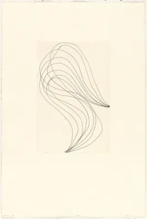 Incisione Ferrari - Mod. 1