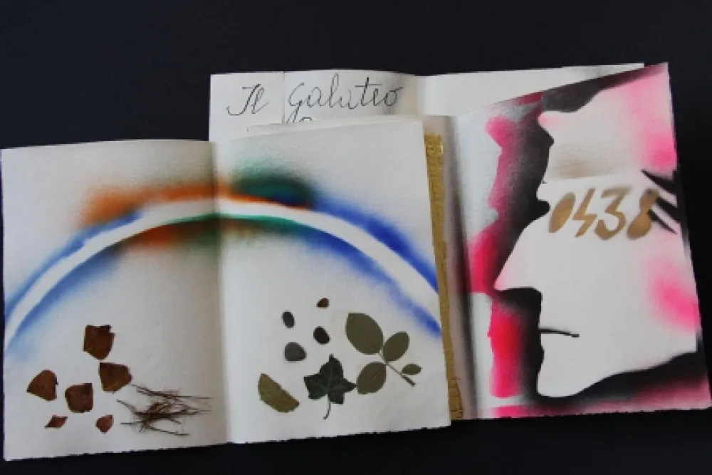 Libro Illustrato Fioroni - Sonetto di veti e iridi