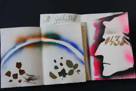 Libro Illustrato Fioroni - Sonetto di veti e iridi