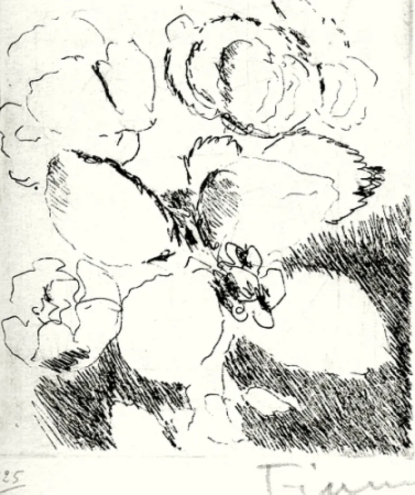 Libro Illustrato Fiume - Dietro le carte