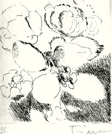 Libro Illustrato Fiume - Dietro le carte