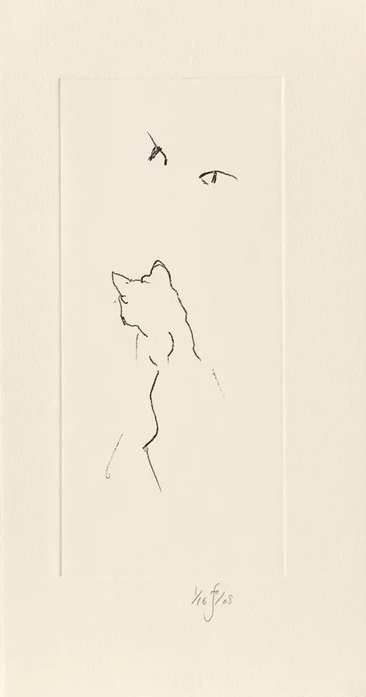 Incisione Flanagan - Panda