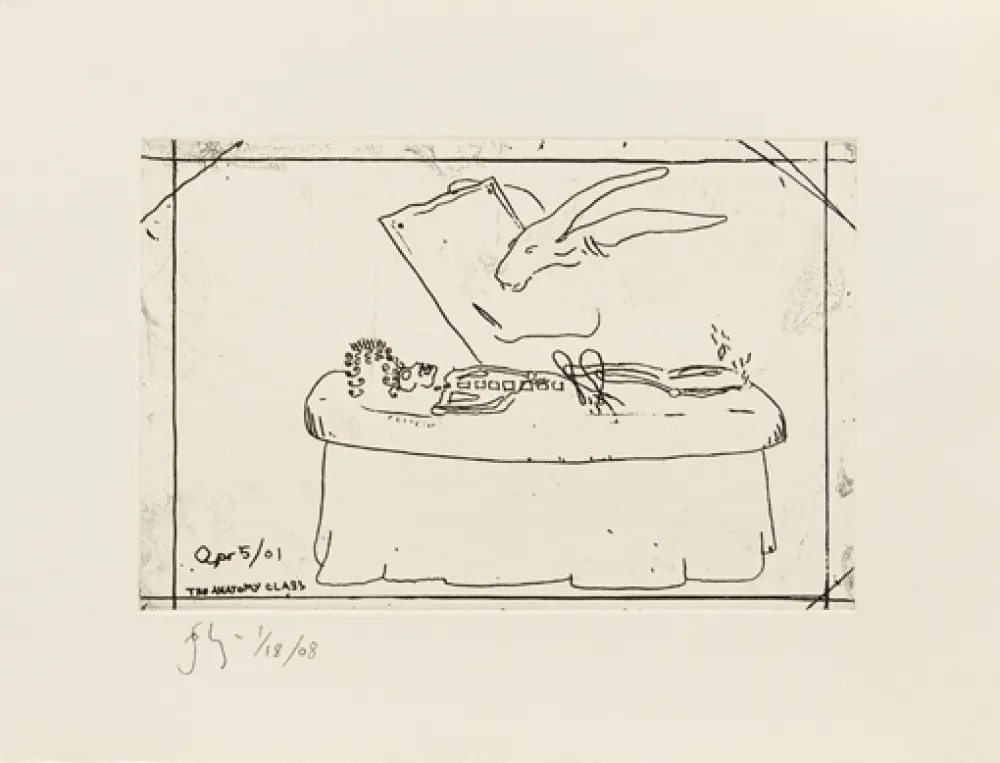 Incisione Flanagan - The anatomy class