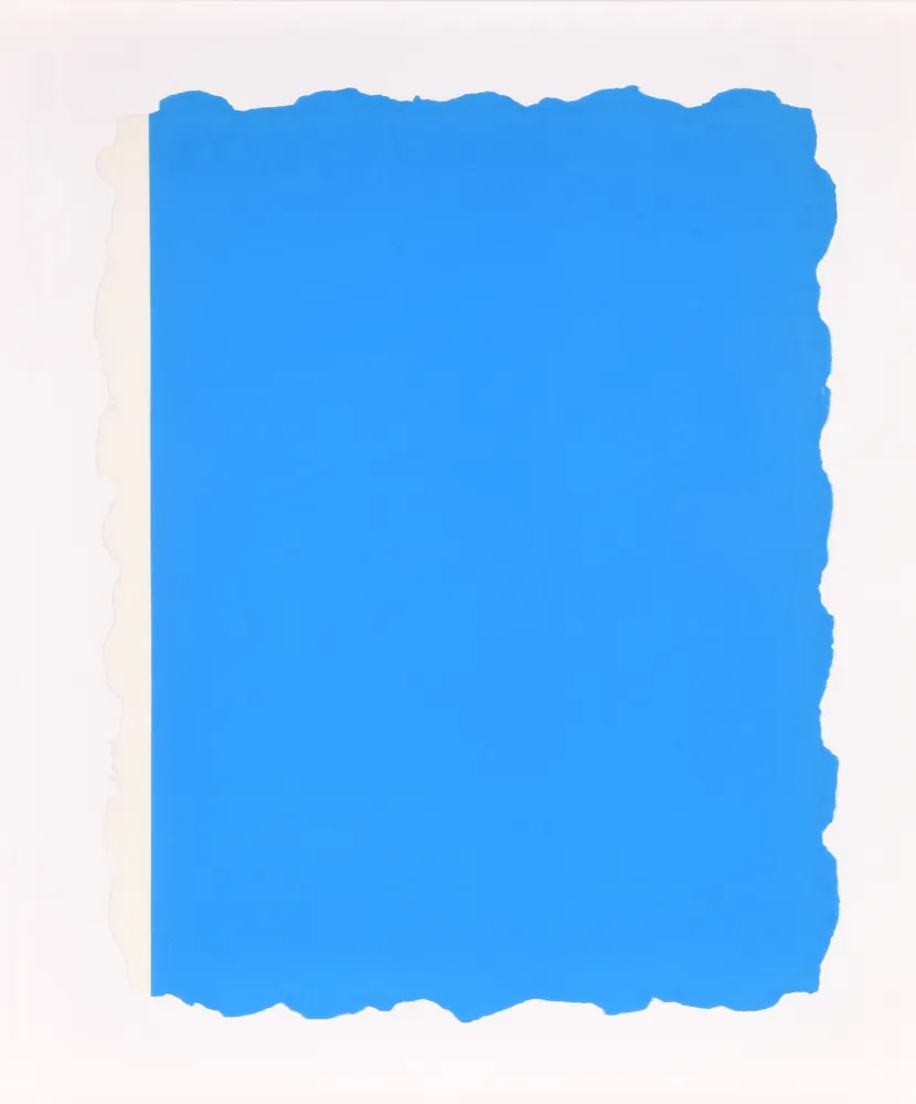 Acquatinta Flavin - Untitled, from Sequences - Blue